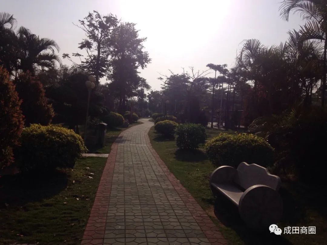 成田文体公园国庆,成田镇文体公园