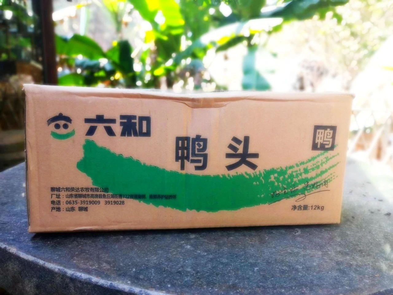 鸭时代的鸭子怎么做的,简单的做鸭方法