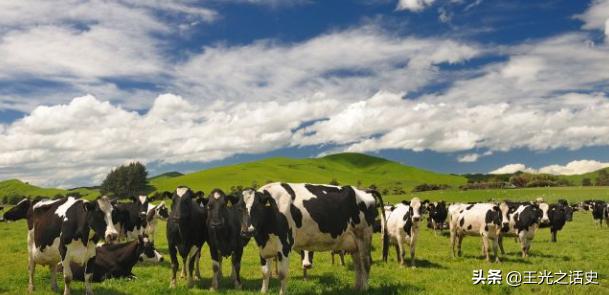 牛羊比人多十倍的新西兰，是如何成为世界前十的发达国家的？