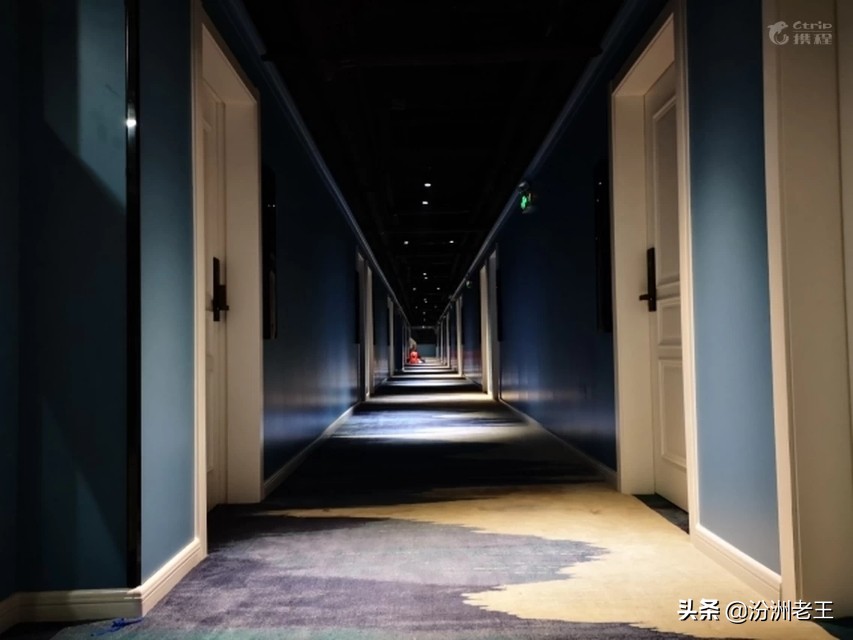 珠海铂金花园酒店,珠海松林花园主题民宿