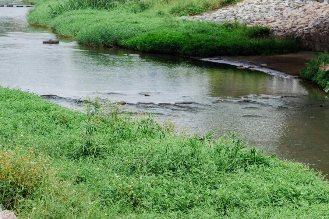 深圳旅游好去处推荐,深圳宝安区周末休闲浪漫好去处