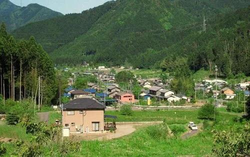 农村这3个发家致富的新行业正在崛起，想自主创业不妨好好考虑