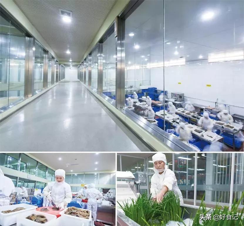 为什么巴奴只开在河南,巴奴董事长杜中兵简介