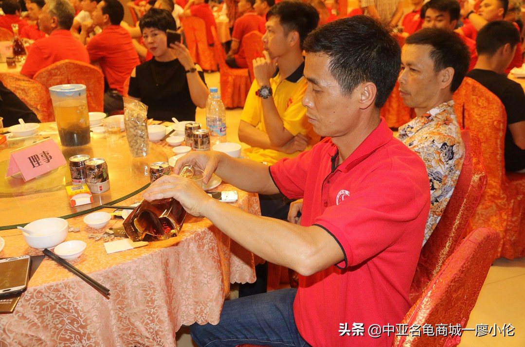 沙琅龟协会,沙琅乌龟协会