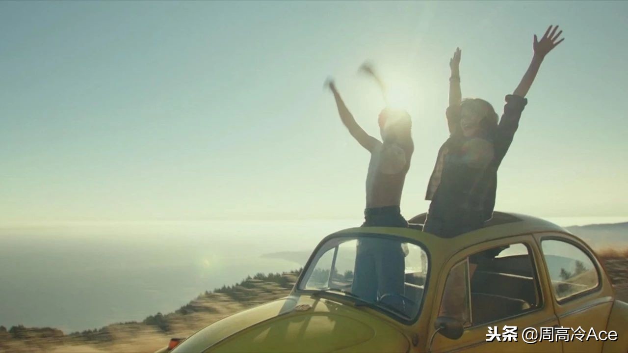 大黄蜂专属甲壳虫,大黄蜂甲壳虫系列