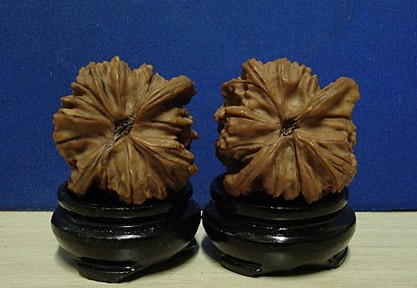 最好看文玩核桃,很常见的文玩核桃