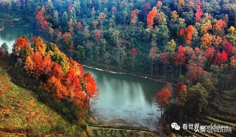 广西人丁最旺的地方,广西含硒最多的地方
