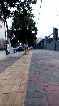 努比亚即将发布手机,努比亚最新发布手机