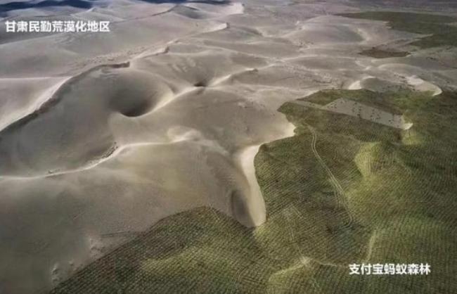 蚂蚁森林是国家出钱还是马云出钱,马云的蚂蚁森林现在进展怎么样了