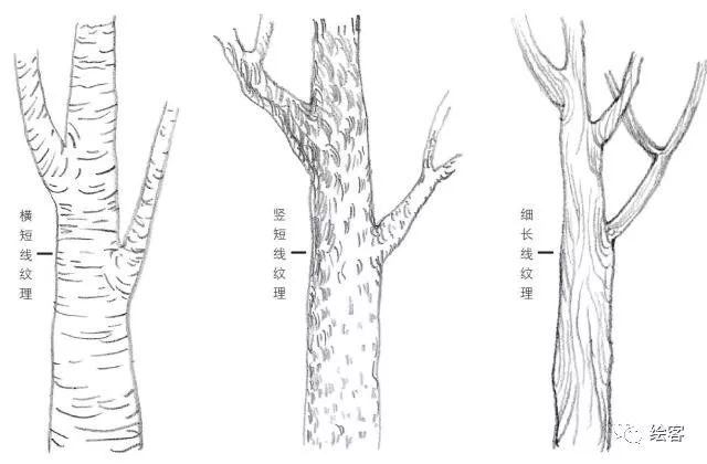 6-12岁儿童风景速写课程入门网课,风景速写临摹图片高清树和房子