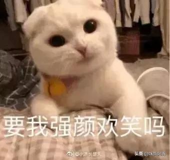 90后和00后的代沟到底有多大了,原来90后和00后的代沟都这么大了