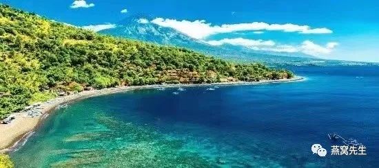 怎么知道燕窝有没有炖好,怎样知道自己适合吃哪种燕窝