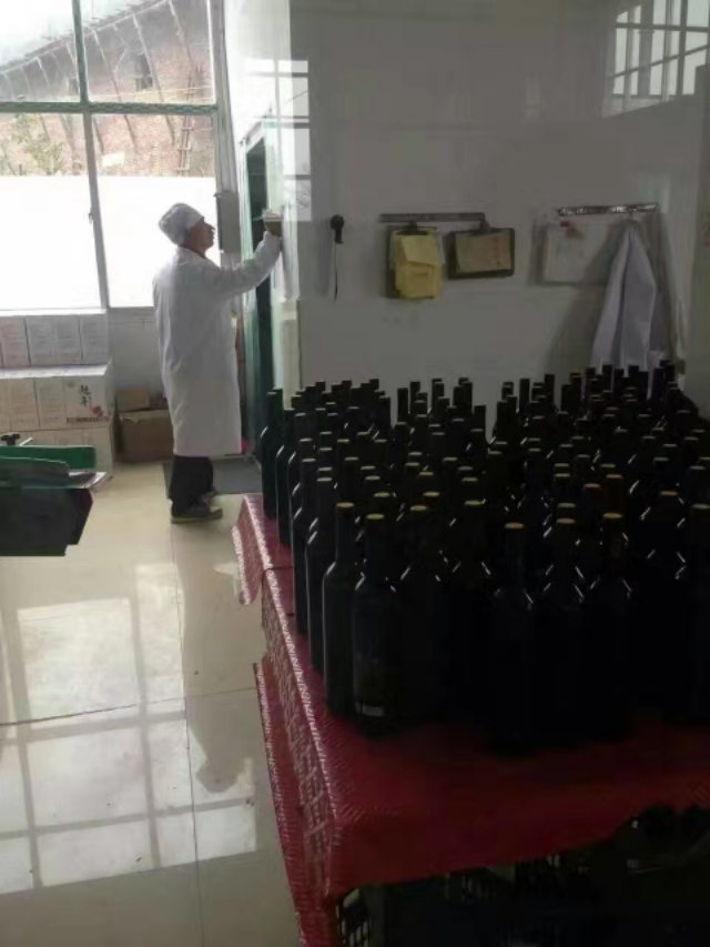 酿杨梅酒用冰糖发酵,杨梅酒发酵全过程