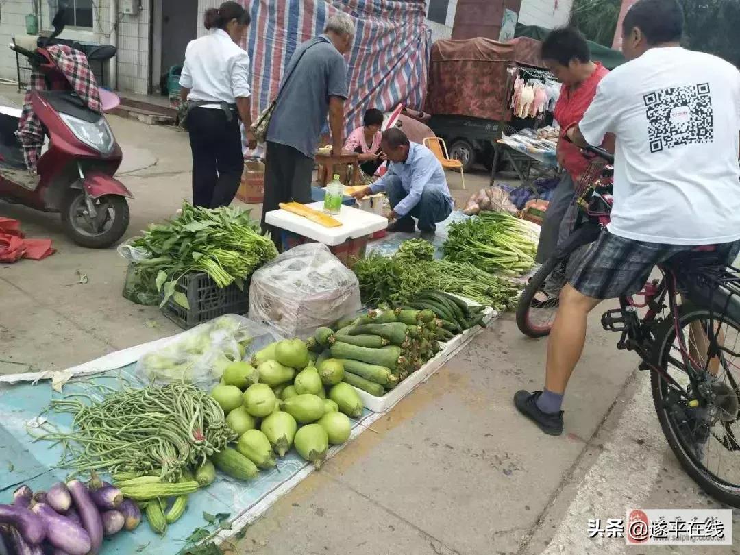 遂平县各大农贸菜市场,图说遂平清晨的菜市场