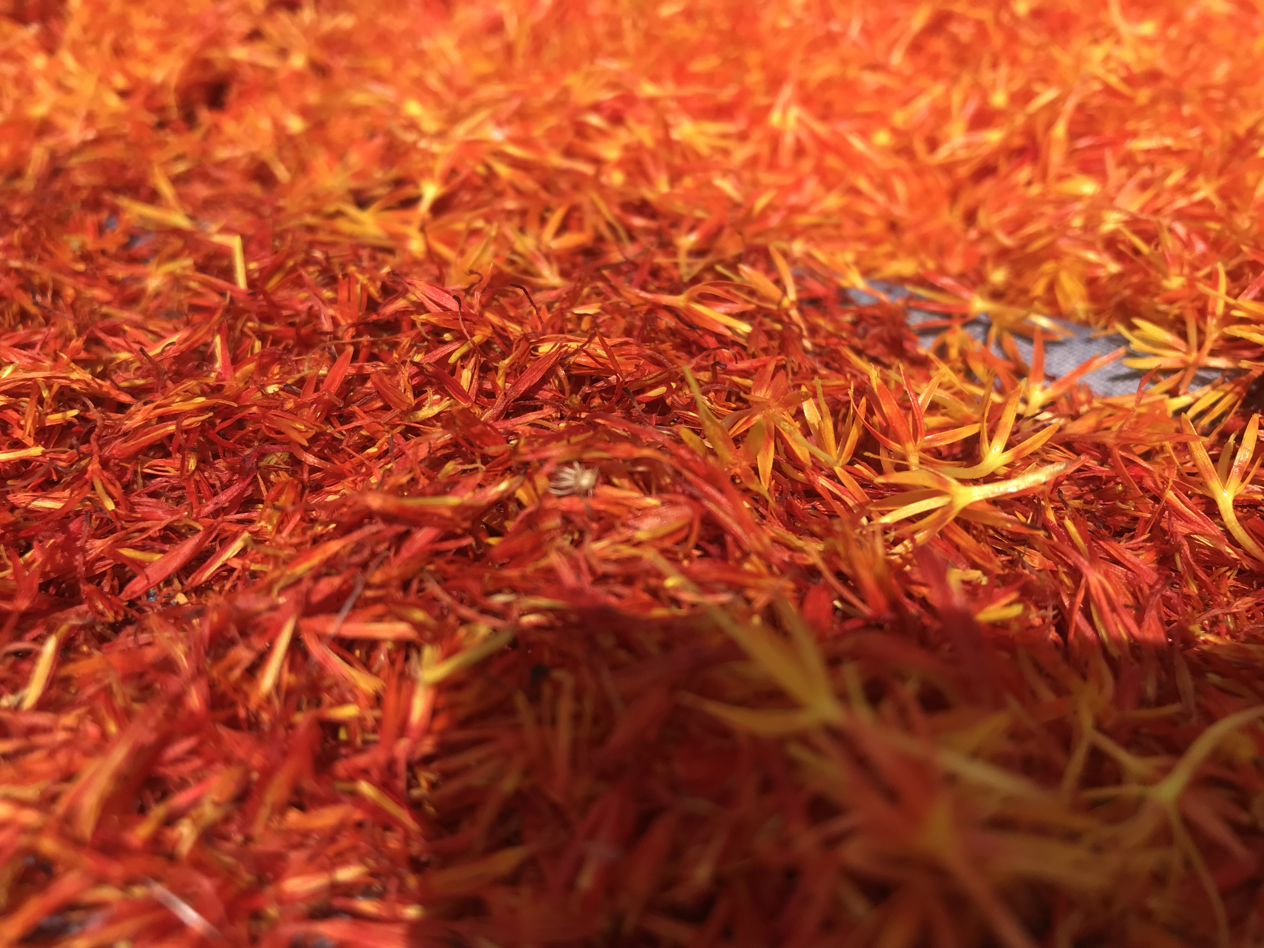 农民辛勤劳作种地收入,农民每天能挣多少钱