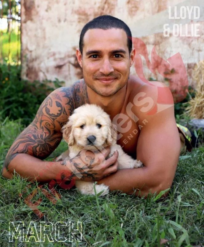 来了来了！他们带着猫猫又来了