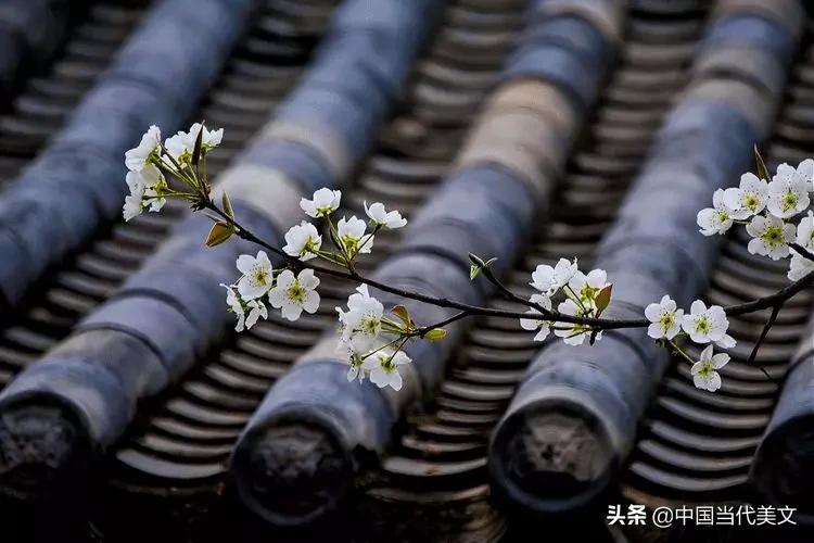 人生无忧幸福安宁,愿岁月无忧人生静好