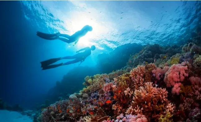 c罗潜水,c罗游泳视频大全集