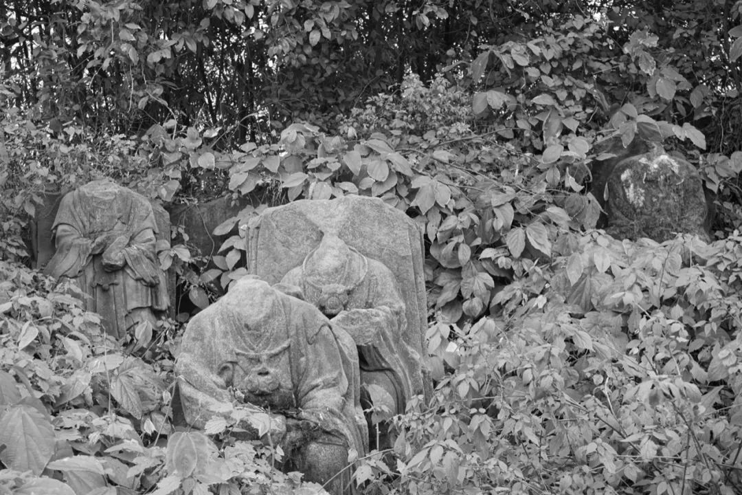 一家四口倾家荡产在山里造房隐居：3年零收入，坚持不通车