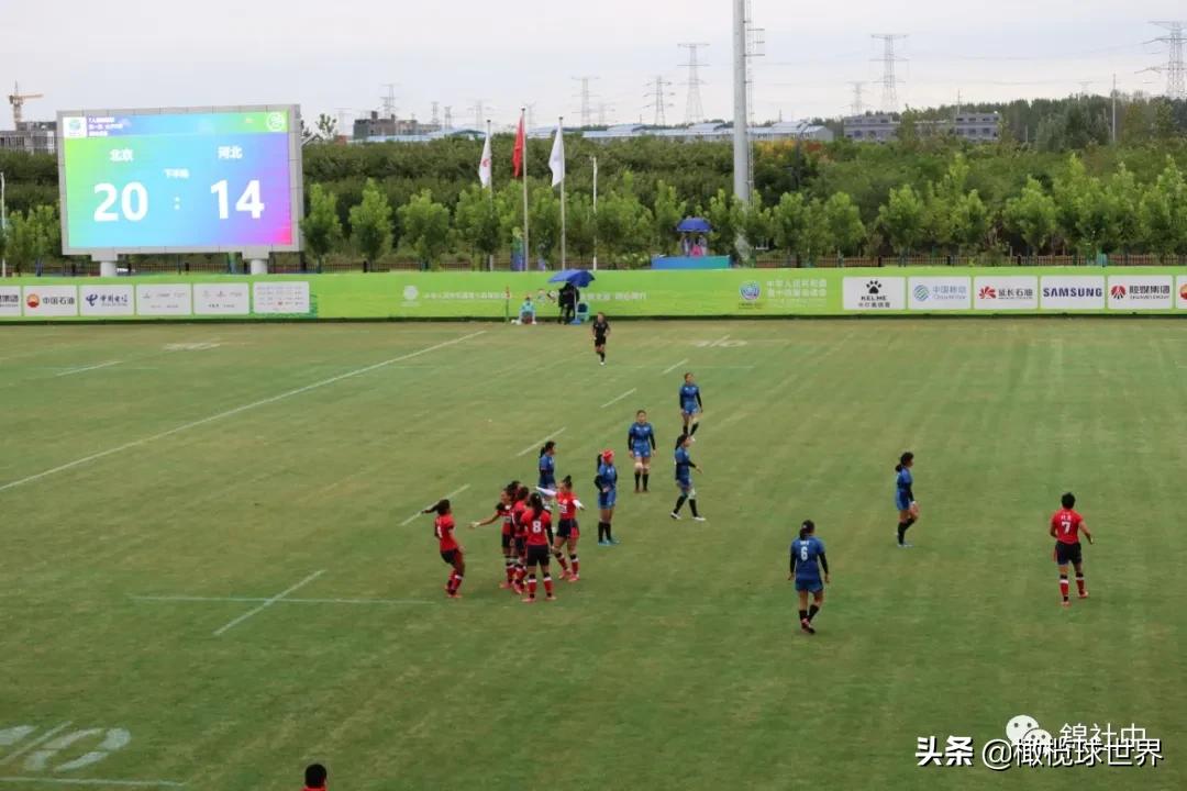 我和我的体育故事,我和运动会的故事