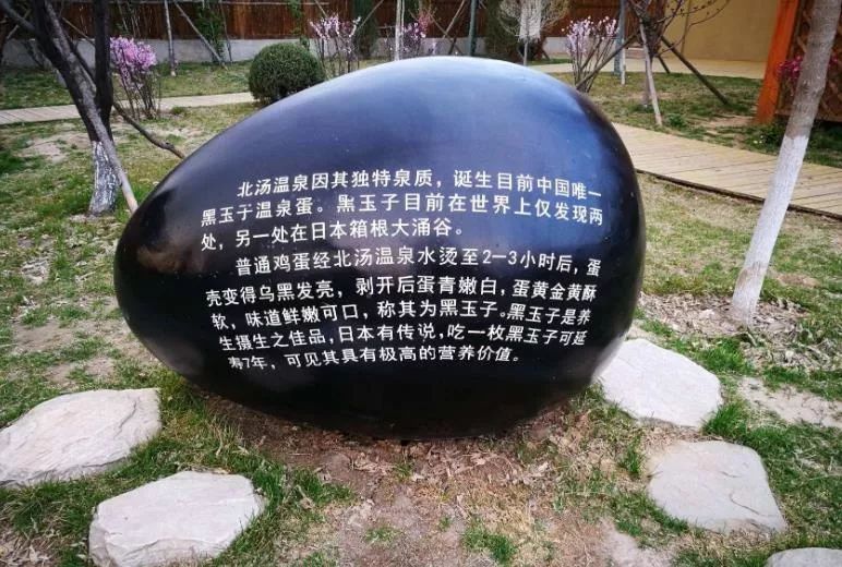 沈阳周边温泉亲子游性价比最高,沈阳好玩的温泉水上乐园推荐