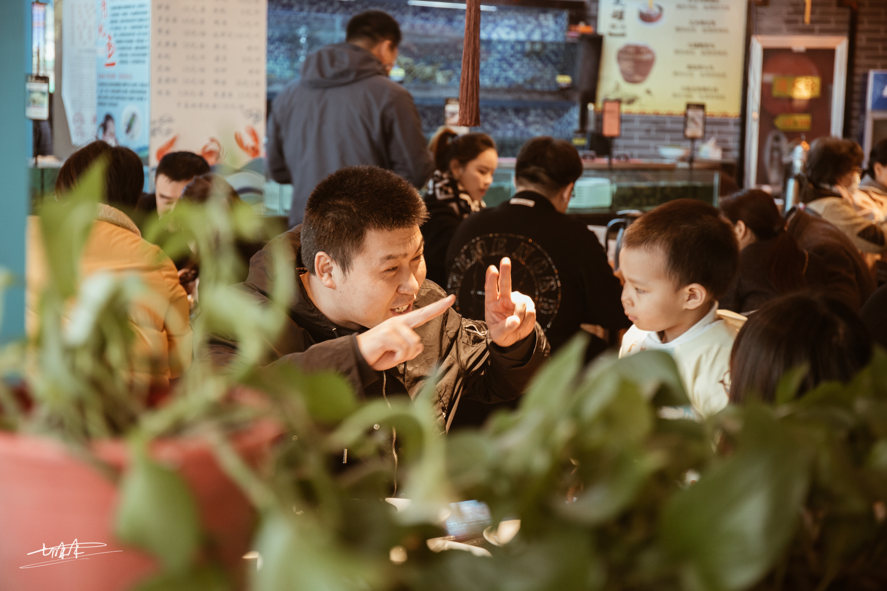 泰州早茶一茶三点一面推荐,在泰州吃特色早茶的真实原声视频