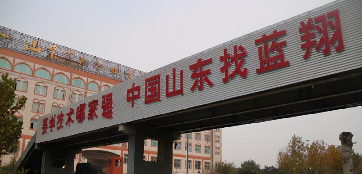 蓝翔学校校长离婚案,蓝翔校长案