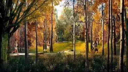 朝阳区准备新建哪些公园,朝阳区新建免费公园