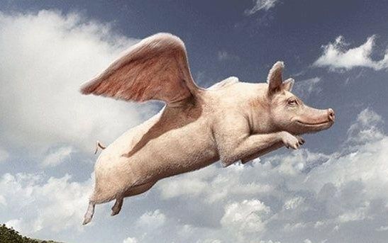 2022农村做什么行业最稳定又赚钱,普通人赚钱最佳时机来了