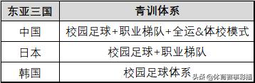 韩国青训对比,日本青训对比韩国青训