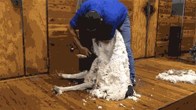 手机号异地销户流程,手机号为什么要异地销户