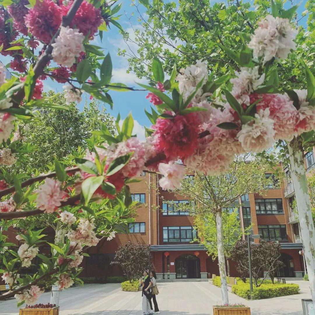 以首都为名，京领带你走进“神秘”的北京中学