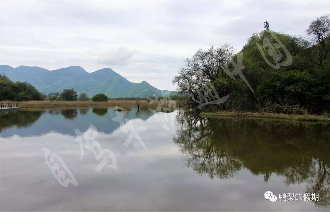 自驾车游遍中国之（一）——世界那么大，我想去神农架