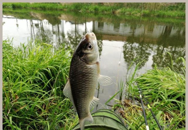 怎么打虚影步,沉底打窝器如何精准打窝