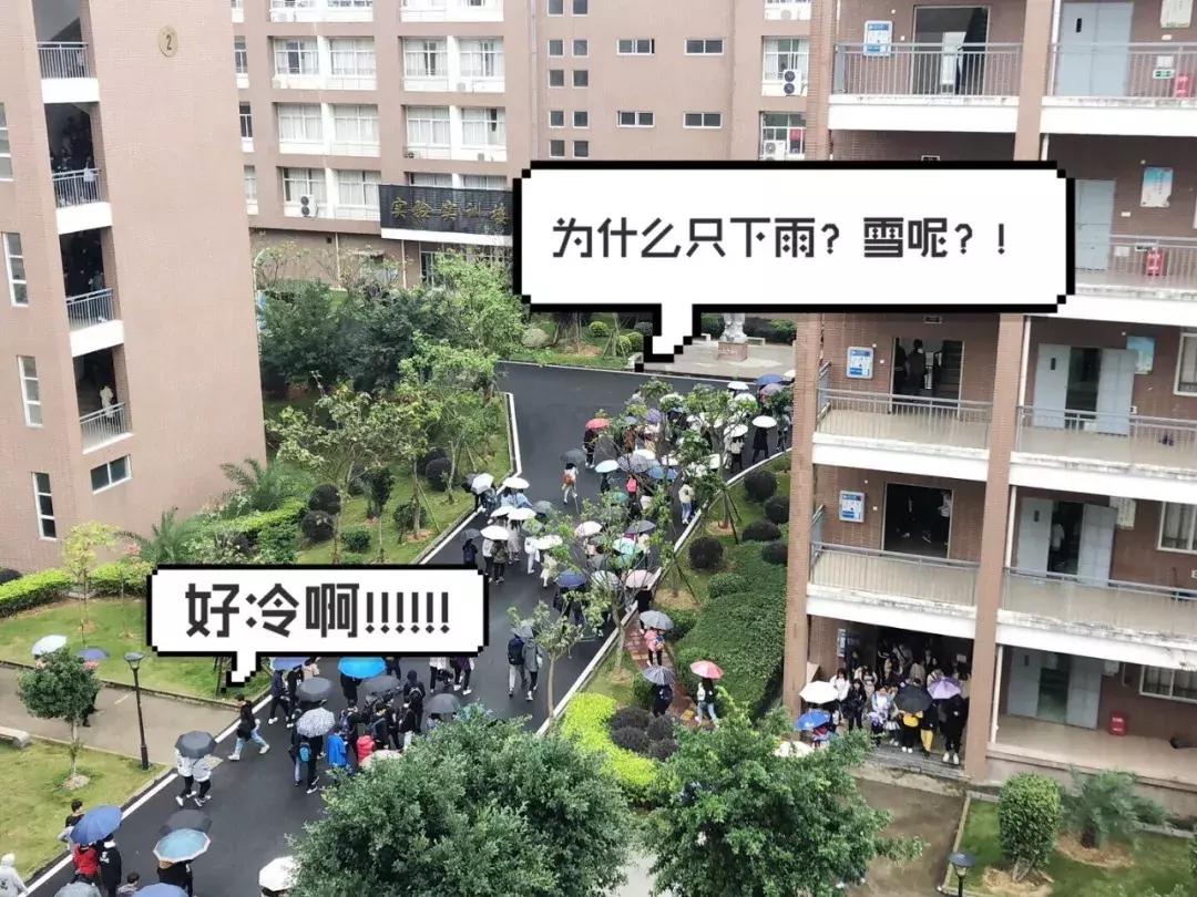 武汉奶茶最好喝的推荐,武汉冬天奶茶推荐好喝