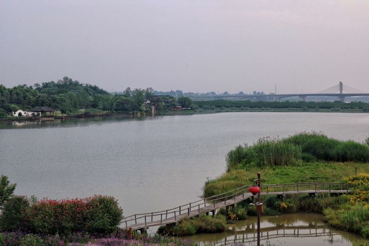 牧童遥指杏花村真正意思,牧童遥指杏花村的遥意思