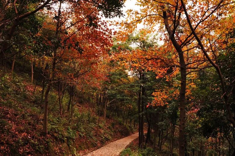 宁波北仑有几个岛,北仑十大山