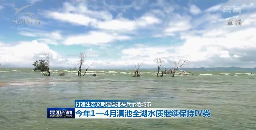 滇池昆明湖,昆明滇池的鱼现在怎么样了