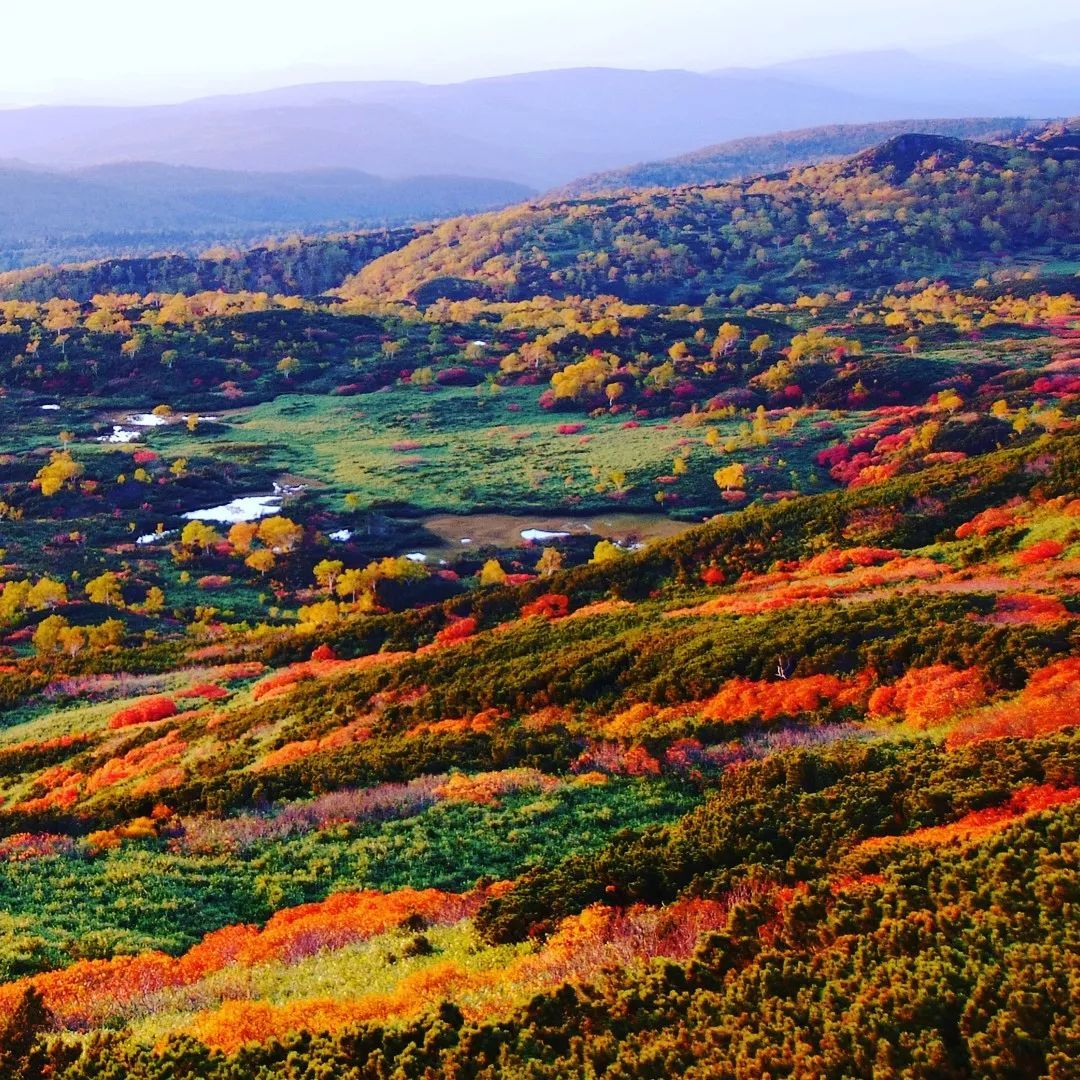 停车坐爱枫林晚风景,停车坐爱枫林晚季节