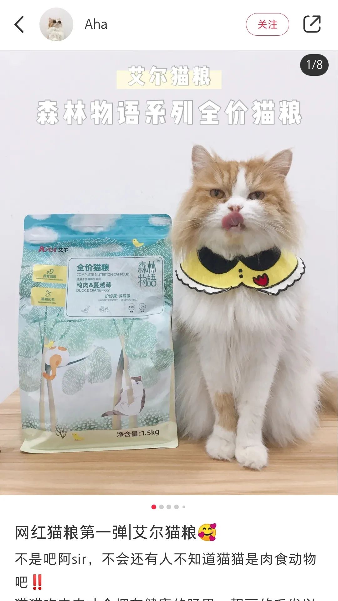 小红书推荐猫粮,猫粮小红书达人