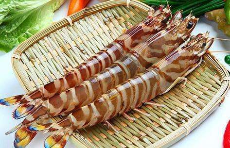 渤海湾野生海鲜图片,渤海湾海鲜为什么好