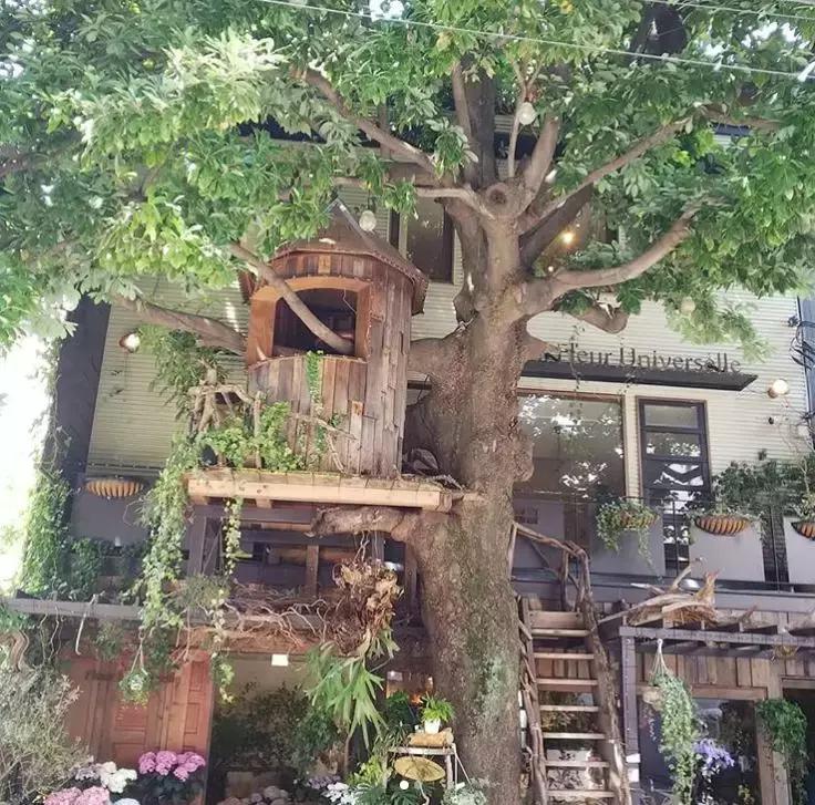 日本最有名的花店,日本青山花店