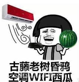 wifi模块集成,物联网模块连wifi效果很差