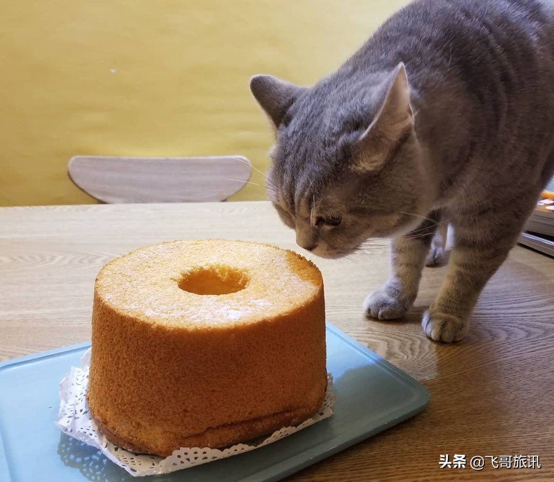 香港露营基地推荐,香港露营住宿攻略