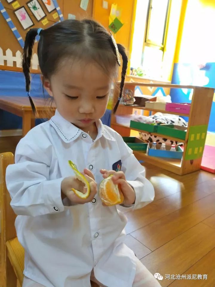 爱上幼儿园第一季全集,爱上幼儿园