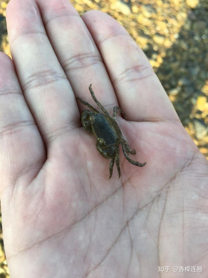 在大连生活怎么样,在大连生活十年是什么体验