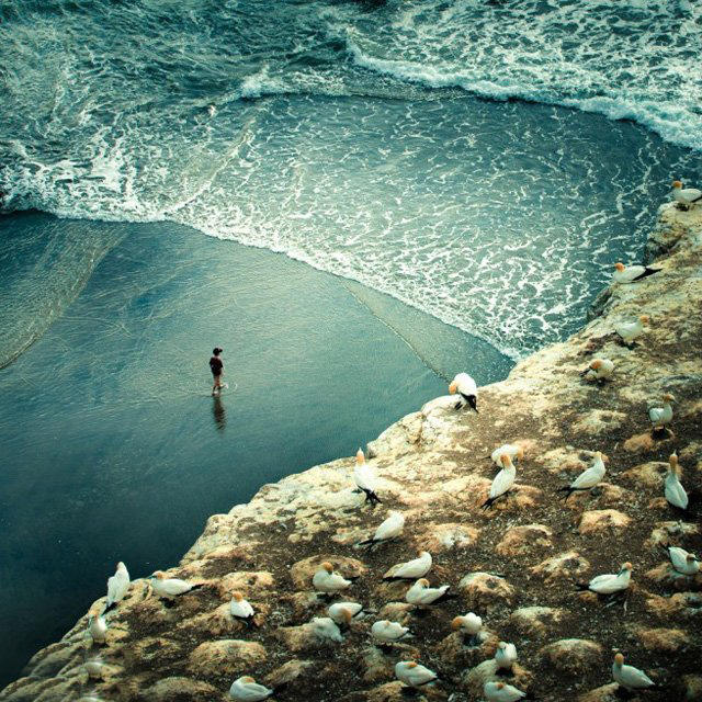 多重曝光实例拍摄讲解,精彩照片制作视频
