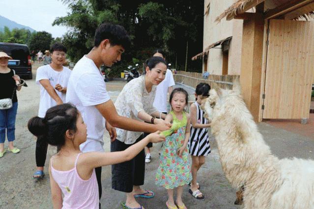 网红民宿2600元,网红民宿团购附近住宿