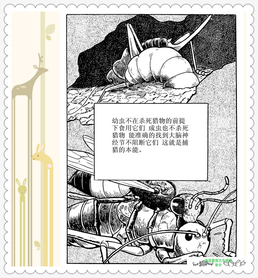 昆虫记法布尔动画片,昆虫记法布尔全套