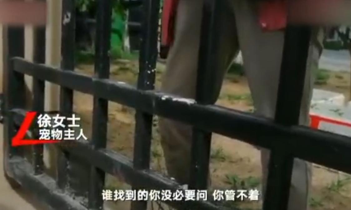 “寻狗赠房”系打印错误？北京寻狗赠房狗主人回应：因天黑没看就贴了，半夜接到三百个电话